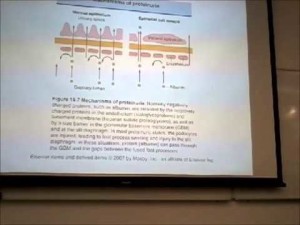 CKD和腎病的檢查
