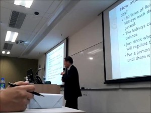 給予腎科護士的腎臟解剖學和生理學